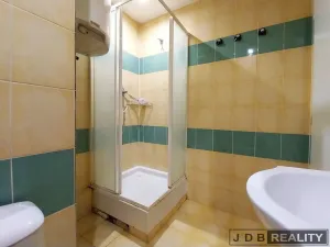 Pronájem bytu 1+1, Roudnice nad Labem, Alej 17. listopadu, 28 m2