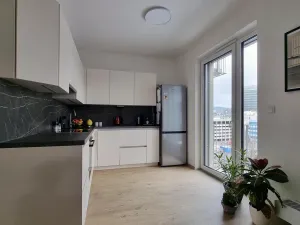 Pronájem bytu 2+kk, Liberec - Liberec III-Jeřáb, U Nisy, 65 m2