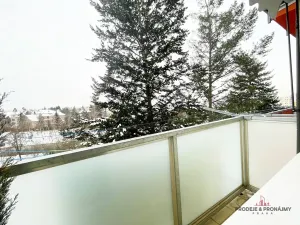 Pronájem bytu 2+1, Praha, Senohrabská, 52 m2