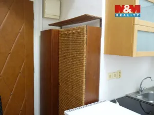 Pronájem bytu 1+kk, Praha - Vinohrady, Mánesova, 16 m2