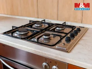 Prodej rodinného domu, Ostrava - Kunčičky, Pernerova, 309 m2