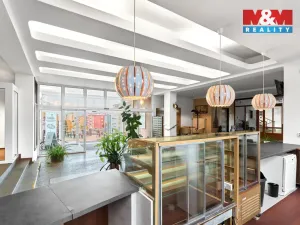 Pronájem obchodního prostoru, Ostrov, Lidická, 120 m2