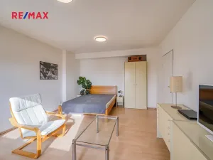 Pronájem bytu 4+1, Praha - Žižkov, Na Balkáně, 98 m2