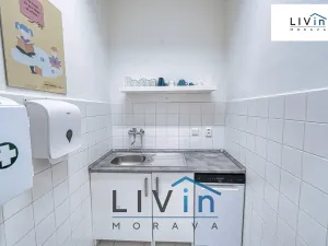 Pronájem kanceláře, Olomouc, Karolíny Světlé, 28 m2