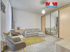Prodej bytu 1+kk, Plzeň - Východní Předměstí, Plzenecká, 30 m2