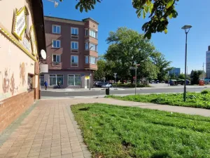 Pronájem obchodního prostoru, Ostrava - Mariánské Hory, Přemyslovců, 53 m2