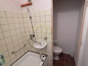 Pronájem bytu 1+1, Rokycany, K Řece, 46 m2