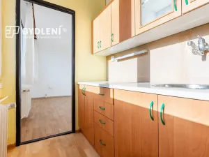 Prodej bytu 1+1, Hrob, Rybniční, 27 m2