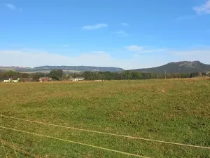 Prodej louky, Police nad Metují, 8999 m2