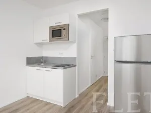 Pronájem bytu 1+kk, Praha - Chodov, Čenětická, 23 m2