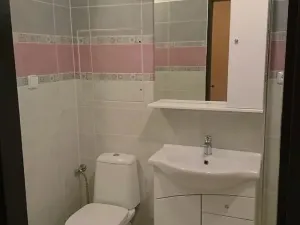 Pronájem bytu 2+kk, Kamenný Újezd, 5. května, 43 m2