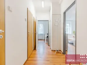 Pronájem bytu 1+1, Olomouc, Dr. Milady Horákové, 39 m2