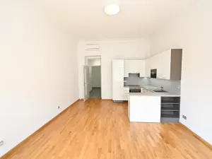 Pronájem bytu 1+kk, Praha - Vinohrady, Vinohradská, 41 m2