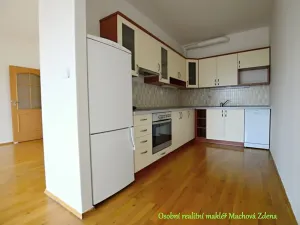 Pronájem bytu 2+kk, Praha - Žižkov, Za Vackovem, 64 m2