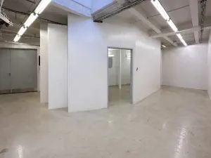 Pronájem výrobních prostor, Praha - Nusle, Mojmírova, 165 m2