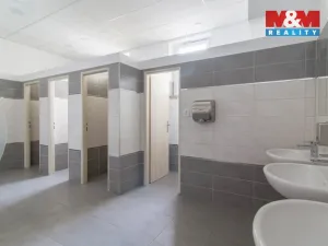 Pronájem kanceláře, Praha, Podbabská, 38 m2