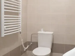 Pronájem rodinného domu, Holice, Pardubická, 50 m2