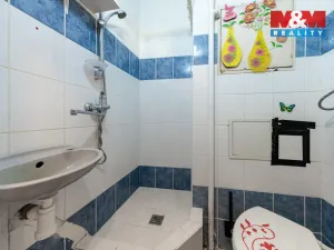 Prodej bytu 1+kk, Cheb, Hradební, 23 m2