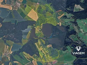 Prodej podílu lesa, Olešnice, 254 m2