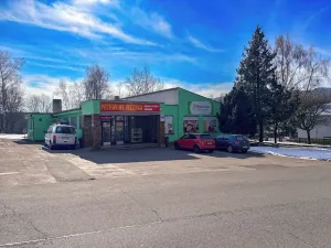 Prodej bytu 2+1, Ústí nad Orlicí, Dukelská, 52 m2