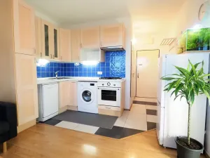 Pronájem bytu 1+1, Písek, nábřeží 1. máje, 36 m2