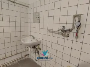 Pronájem obchodního prostoru, Teplice, Masarykova třída, 120 m2