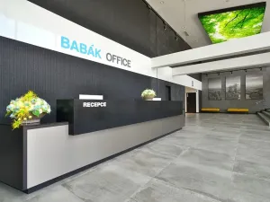 Pronájem kanceláře, Brno, Jana Babáka, 546 m2