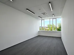 Pronájem kanceláře, Brno, Jana Babáka, 546 m2
