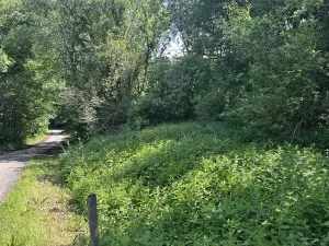 Dražba pozemku, Klášterec nad Ohří, 22680 m2