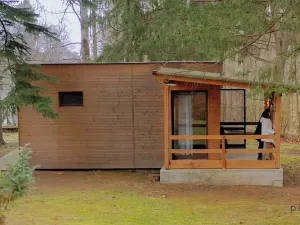 Prodej rodinného domu, Chlum u Třeboně, 462 m2