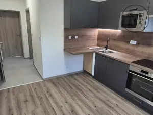 Pronájem bytu 1+1, České Budějovice, Novohradská, 33 m2