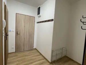 Pronájem bytu 1+kk, Šenov, Do Dědiny, 39 m2