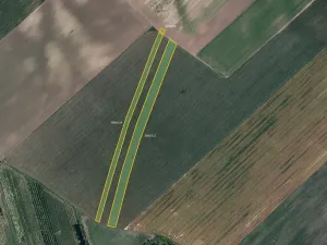 Prodej pole, Čejkovice, 19254 m2