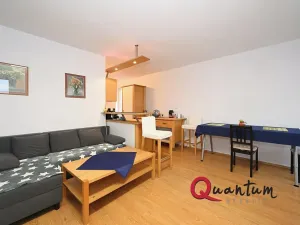 Prodej bytu 2+kk, Praha - Žižkov, Pod lipami, 61 m2