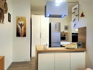 Prodej bytu 1+kk, Hustopeče, Mrštíkova, 50 m2