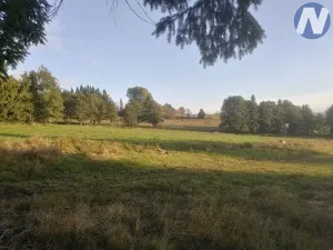 Prodej pozemku, Želnava, 14303 m2