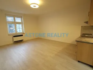 Pronájem bytu 1+kk, Praha - Nusle, Na Jezerce, 39 m2