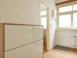 Pronájem bytu 1+1, Praha - Nové Město, Opletalova, 34 m2