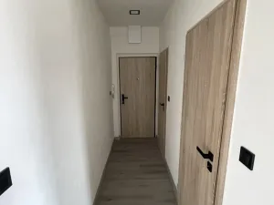 Pronájem bytu 1+kk, Olomouc - Hodolany, Nálevkova, 30 m2