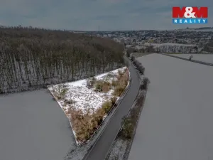 Prodej zahrady, Pchery, 1621 m2