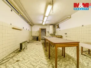 Prodej činžovního domu, Bílovec - Lubojaty, 500 m2