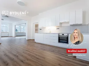 Pronájem bytu 3+kk, Teplice, Školní, 157 m2