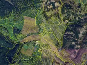 Prodej podílu pole, Vranová Lhota, 736 m2