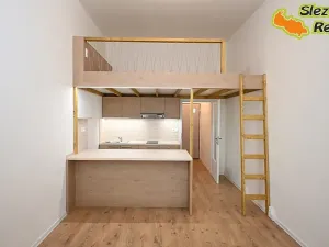 Pronájem bytu 1+kk, Ostrava, Palackého, 26 m2