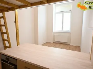 Pronájem bytu 1+kk, Ostrava, Palackého, 26 m2