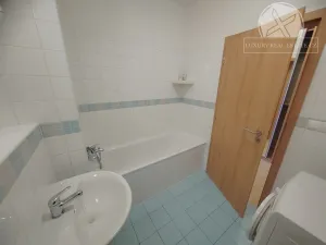 Pronájem bytu 1+kk, Praha - Hloubětín, Nepelova, 29 m2