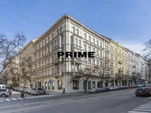 Pronájem bytu 4+1, Praha - Vinohrady, Anny Letenské, 160 m2