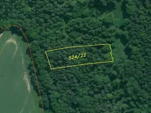 Prodej lesa, Lipí - Kaliště u Lipí, 23659 m2