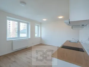 Pronájem bytu 3+kk, Praha - Hodkovičky, Havlovického, 35 m2