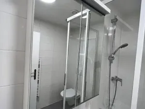 Pronájem bytu 1+kk, Brno, Hády, 18 m2